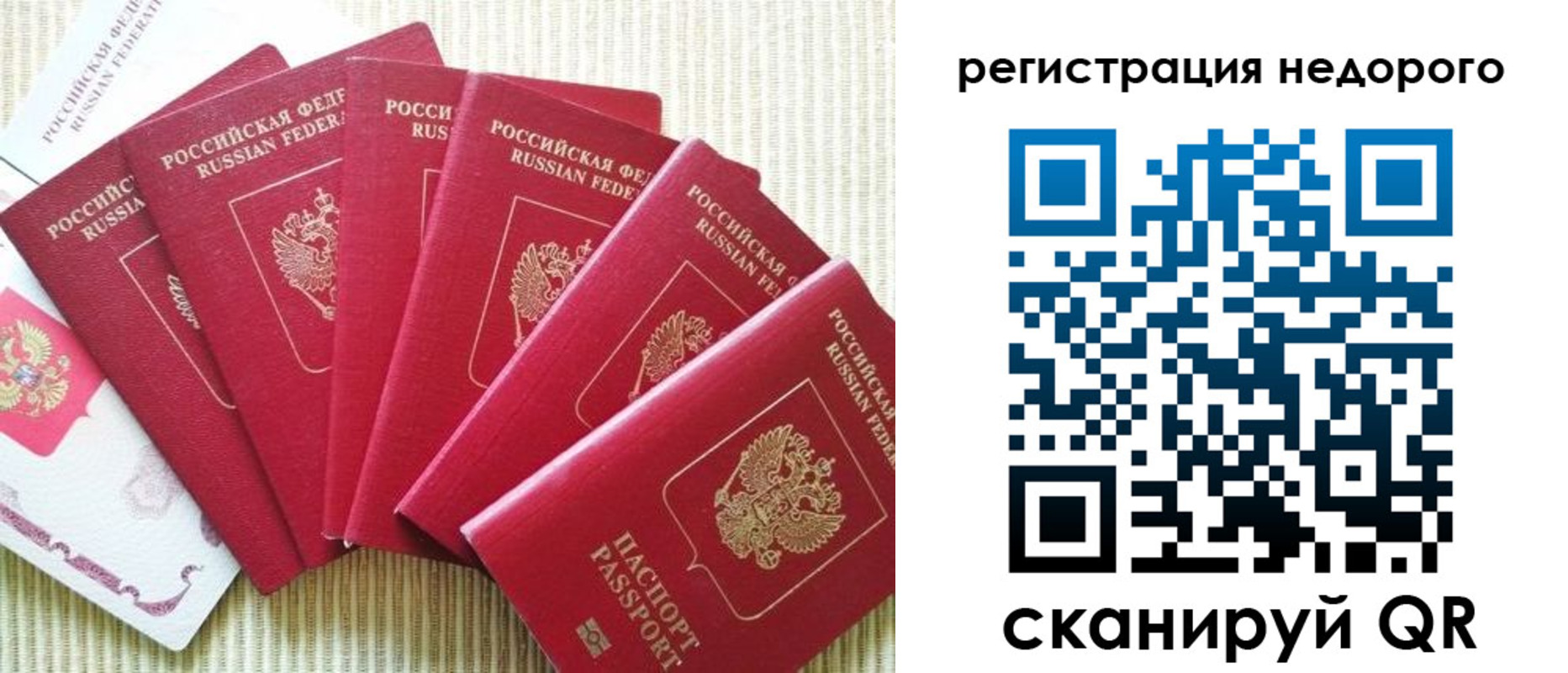 прописка 2025 в Зеленогорске